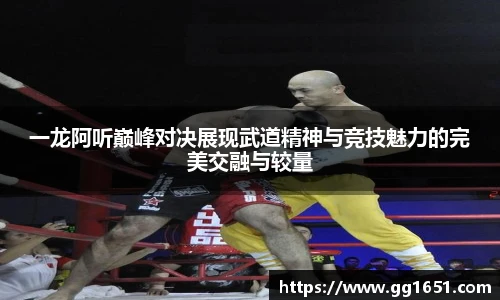 VSport一龙阿听巅峰对决展现武道精神与竞技魅力的完美交融与较量